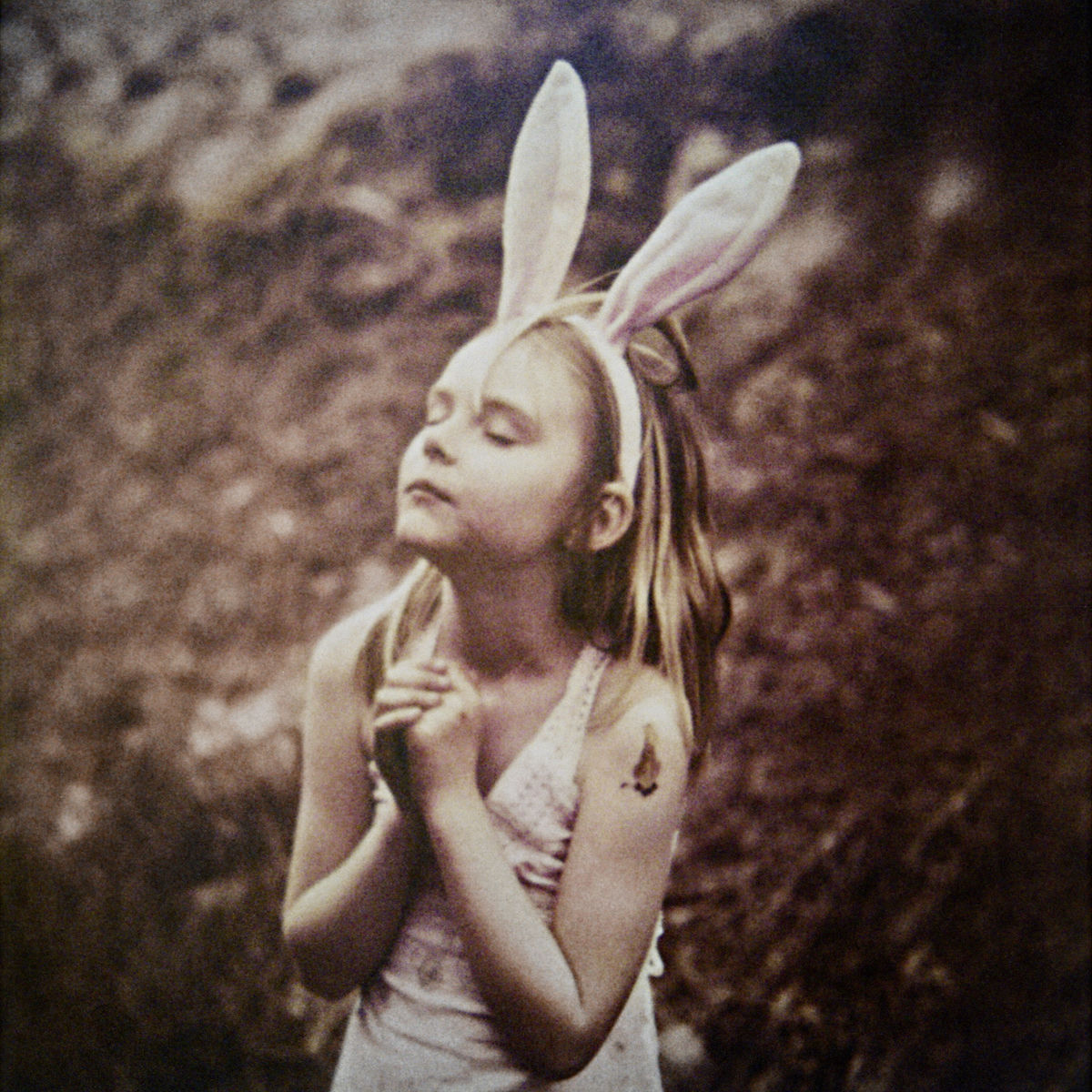 Album cover of El Libro De Los Árboles Mágicos