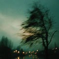 memory of you