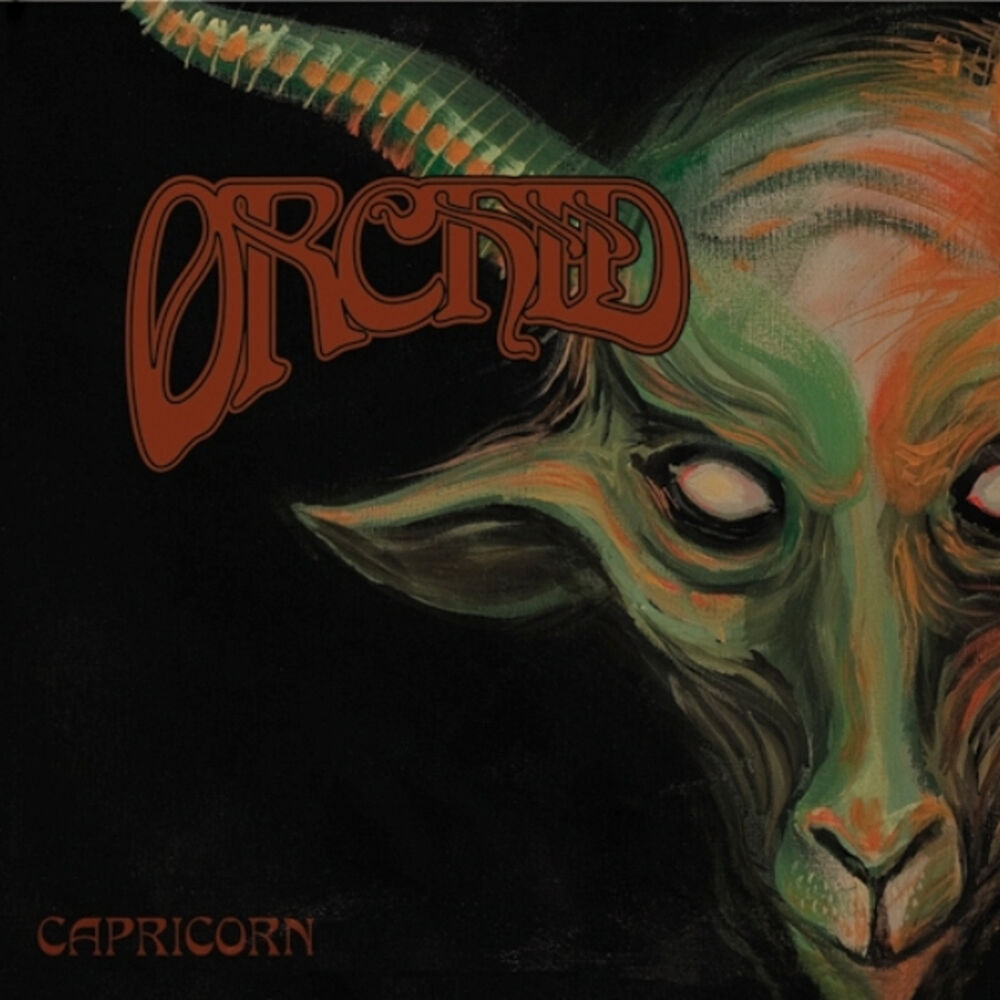 Picture of Capricorn