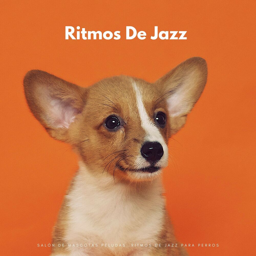 Picture of Salón De Mascotas Peludas: Ritmos De Jazz Para Perros