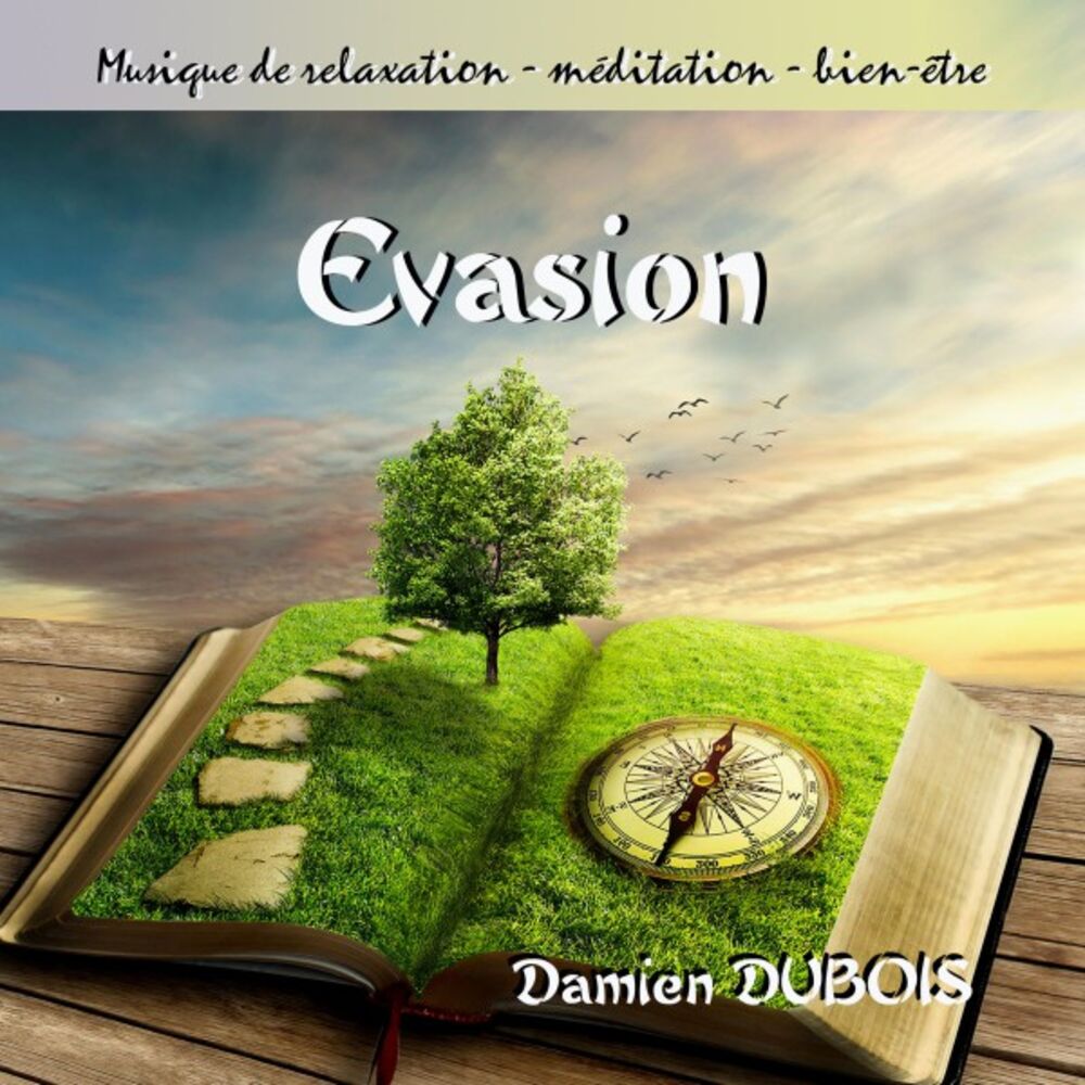 Picture of Evasion