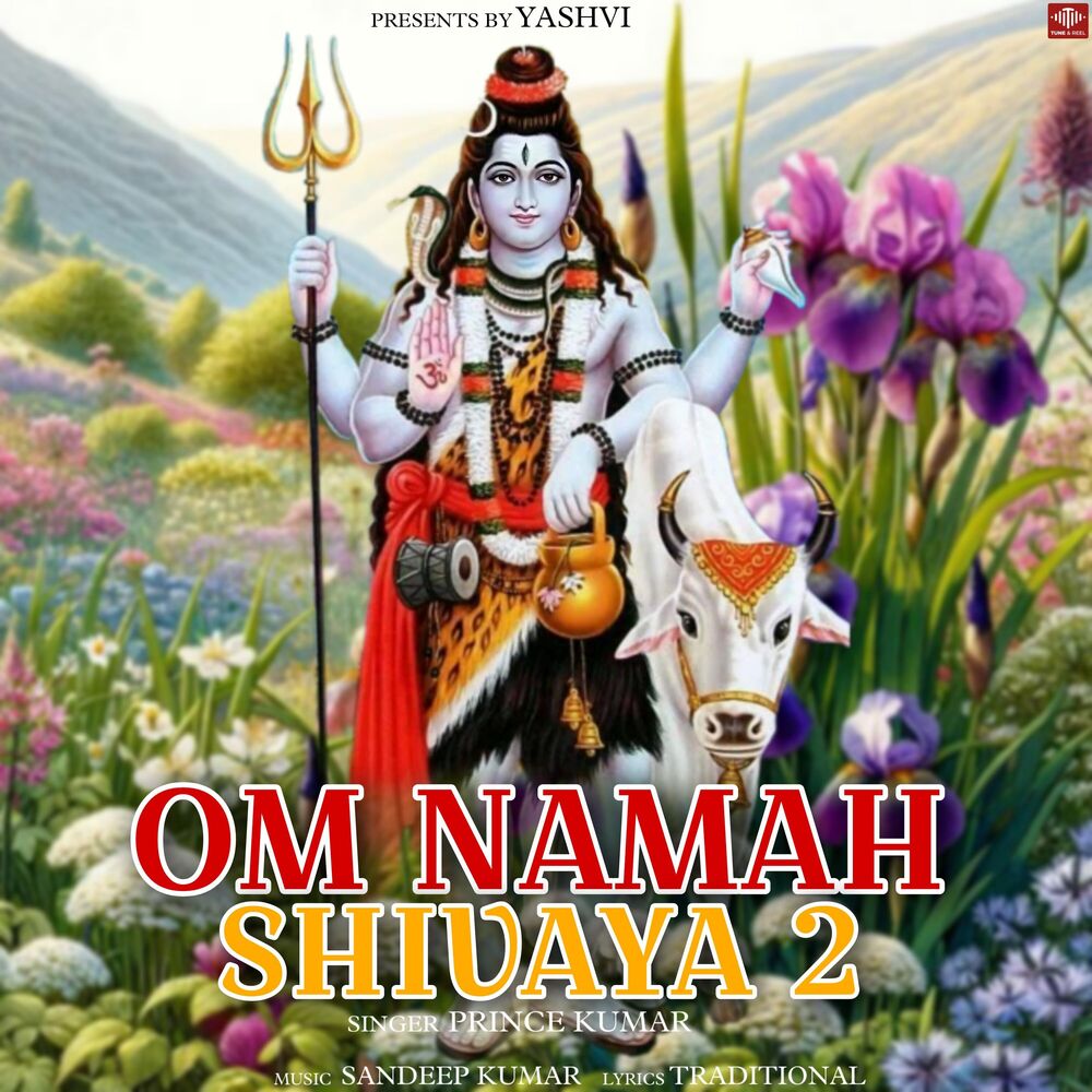 Picture of Om Namah Shivaya 2