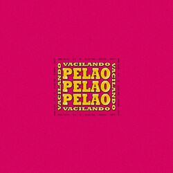 Cover of Vacilando Pelao