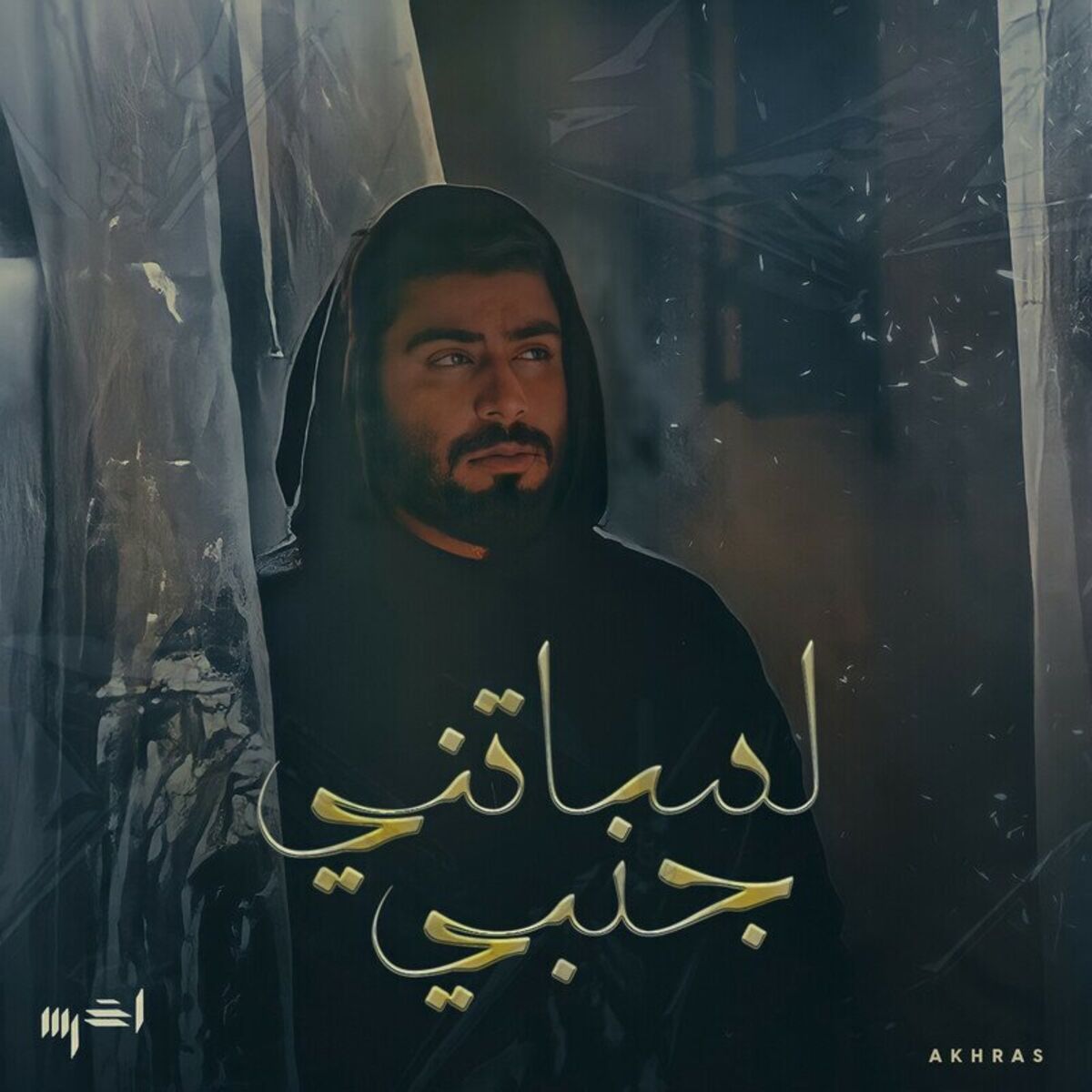 Album cover of Lesatni Janbi