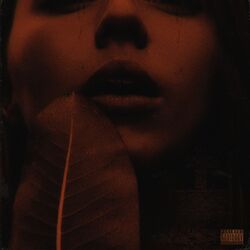 music cover