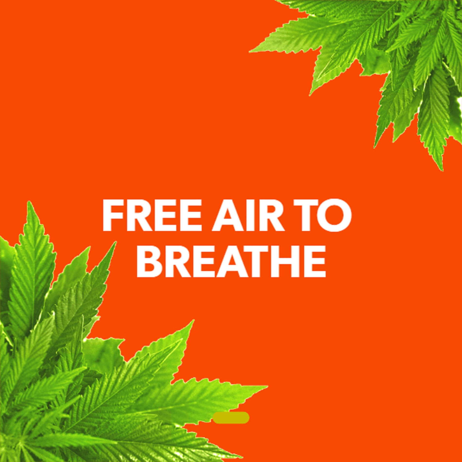 Album cover of Free Air To Breathe