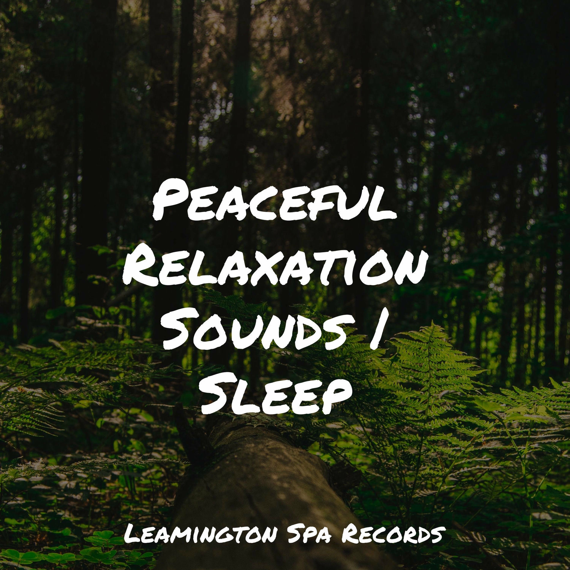 Album cover of Peaceful Relaxation Sounds | Sleep