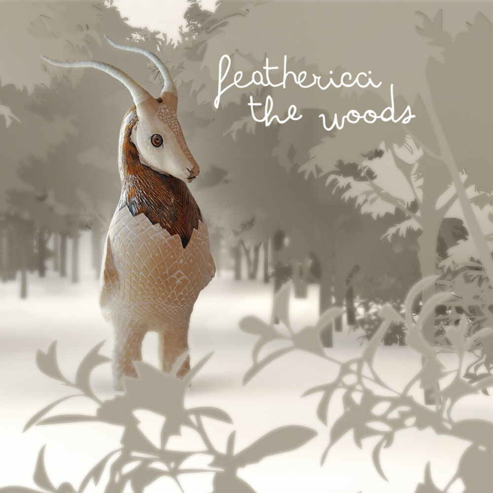Picture of The Woods
