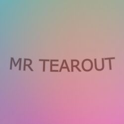 Cover of MR TEAROUT