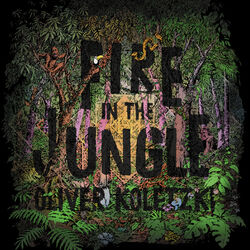 Cover of Fire in the Jungle