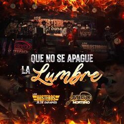 Cover of Que No Se Apague La lumbre