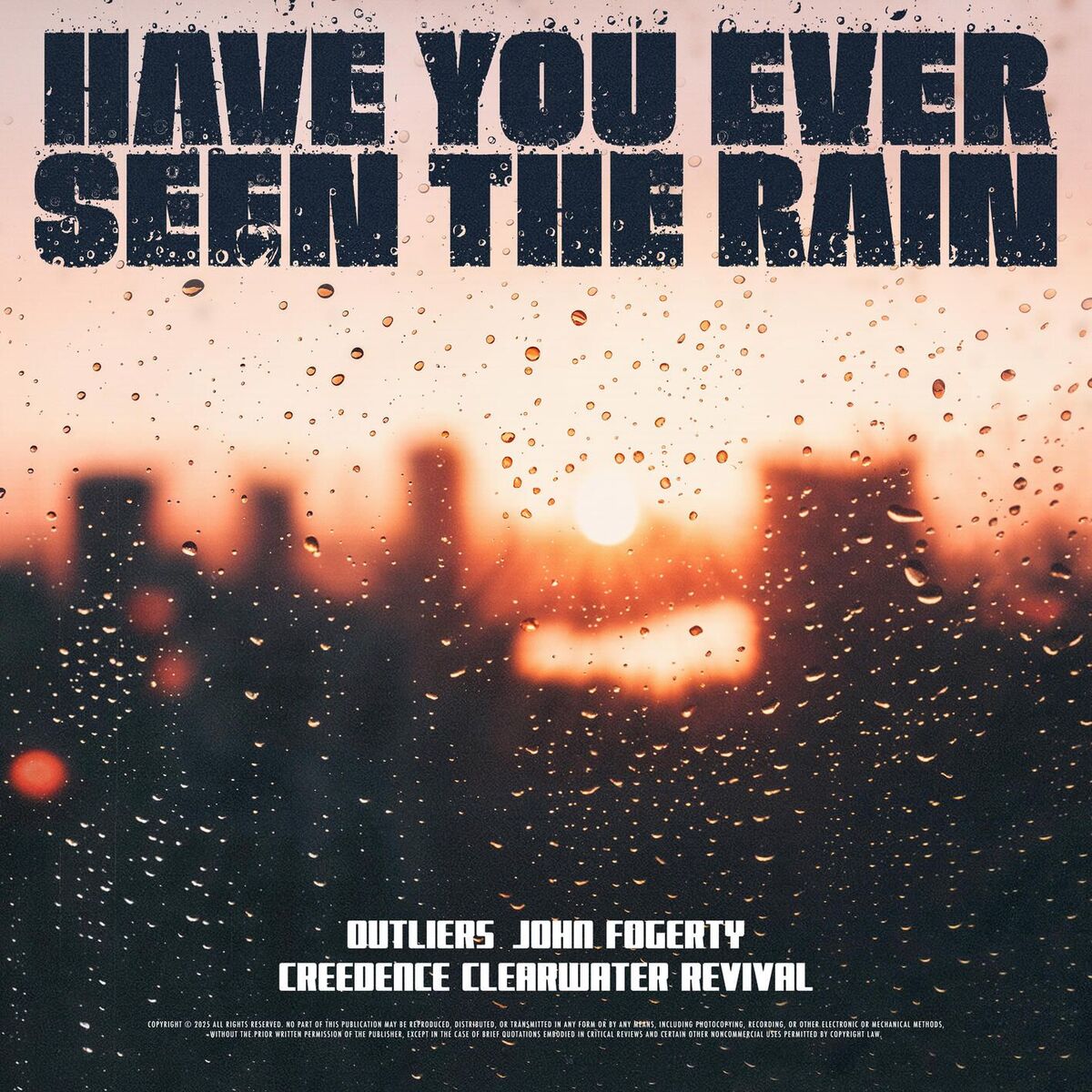 Album cover of Have You Ever Seen The Rain