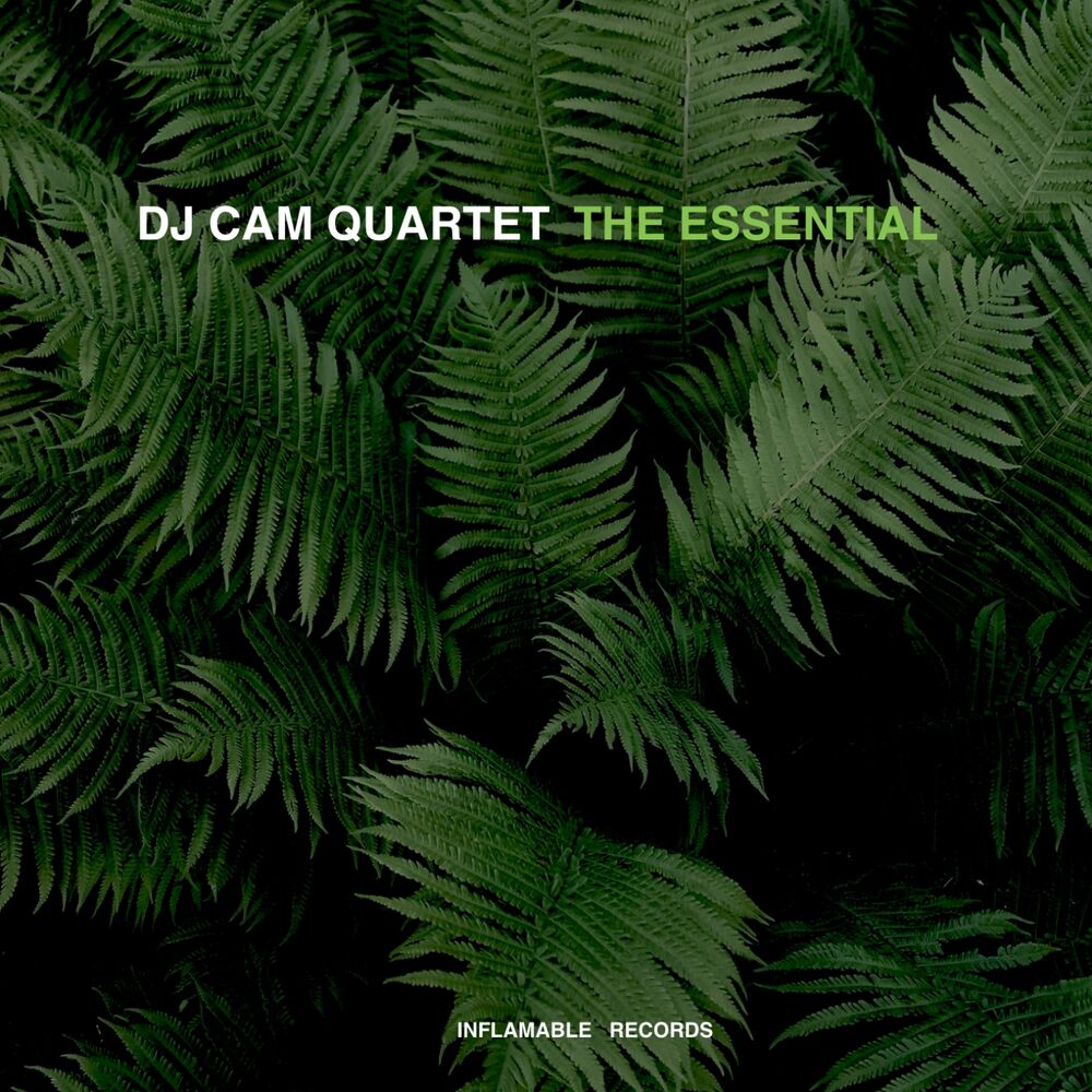 Picture of The Essential
