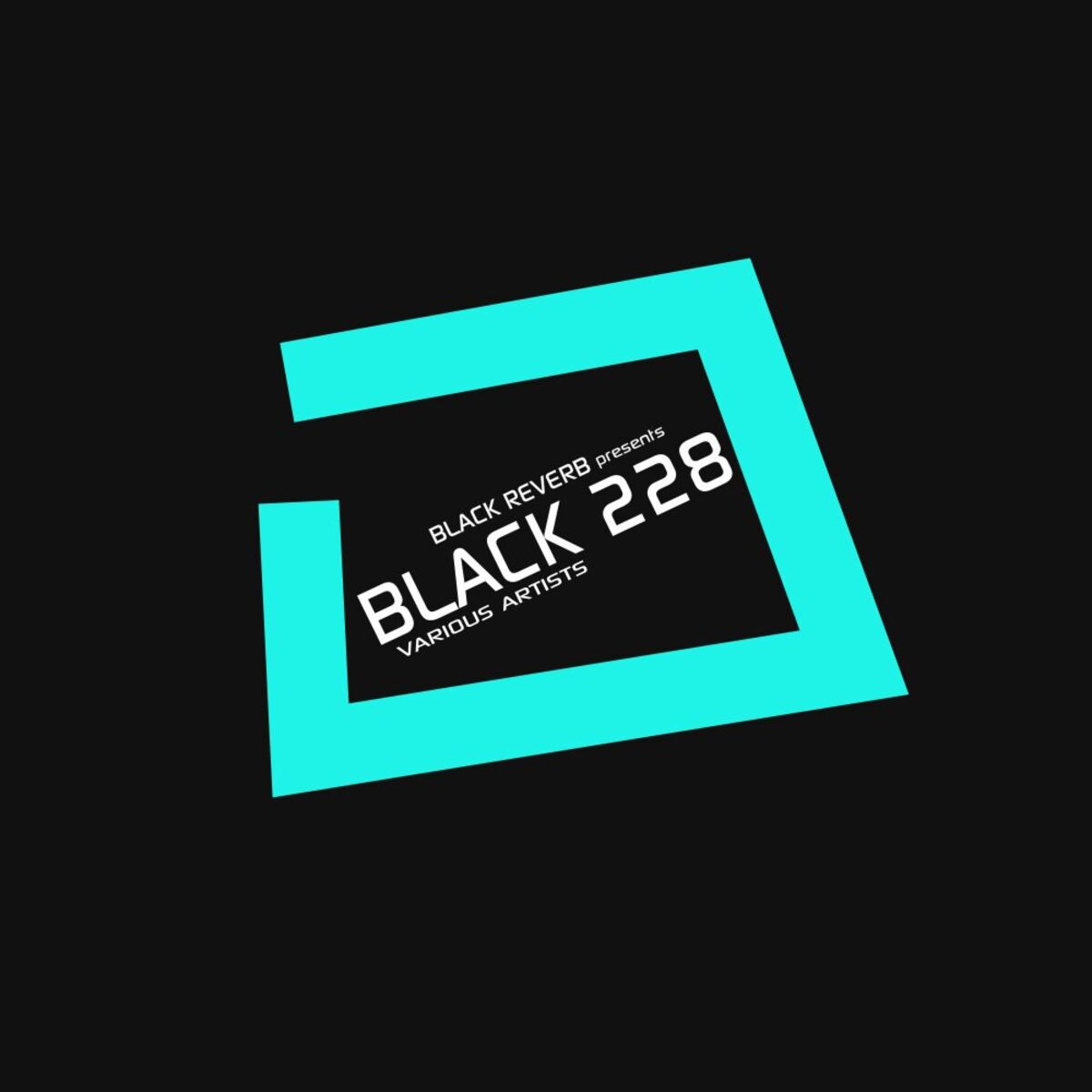 Album cover of Black 228