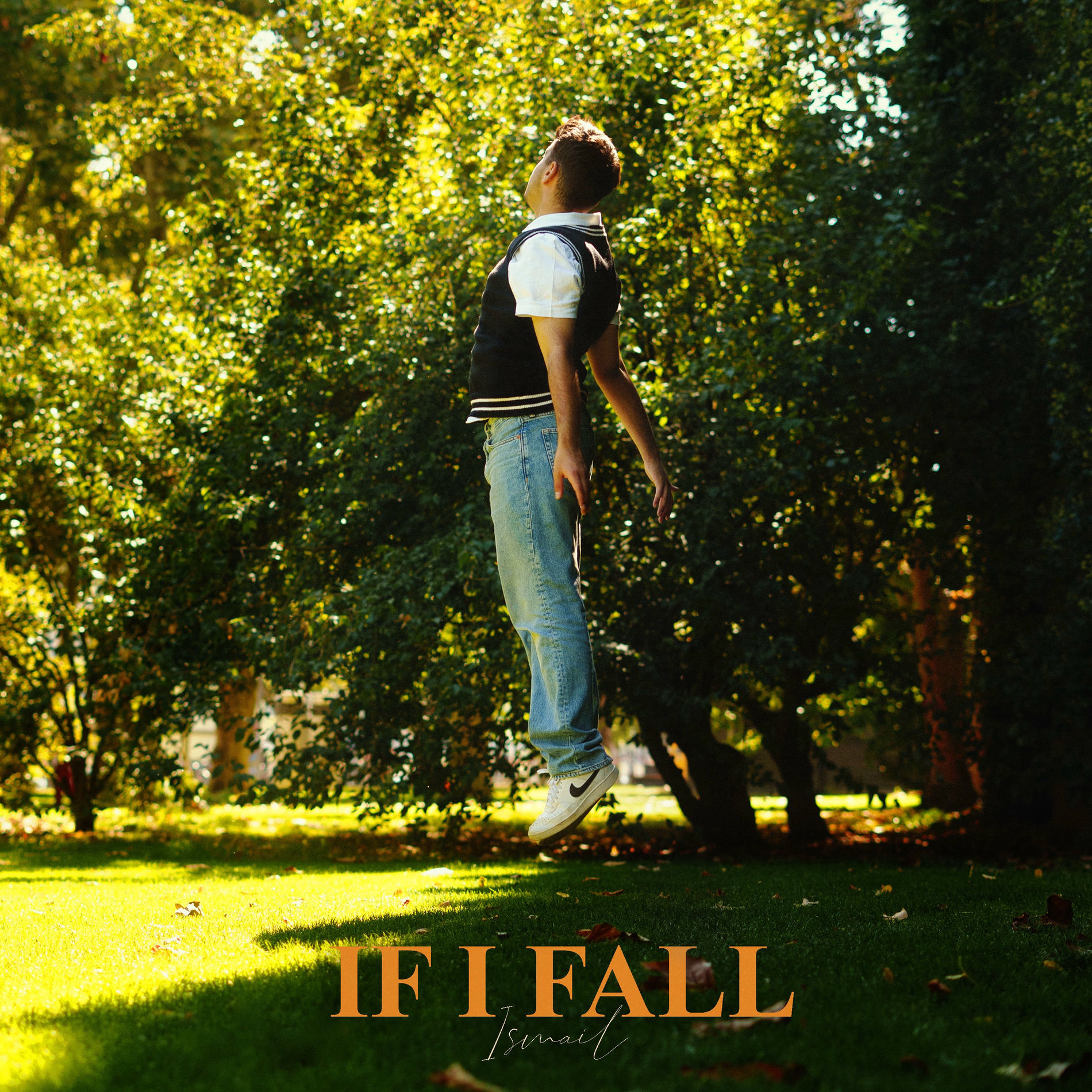 Album cover of If I Fall