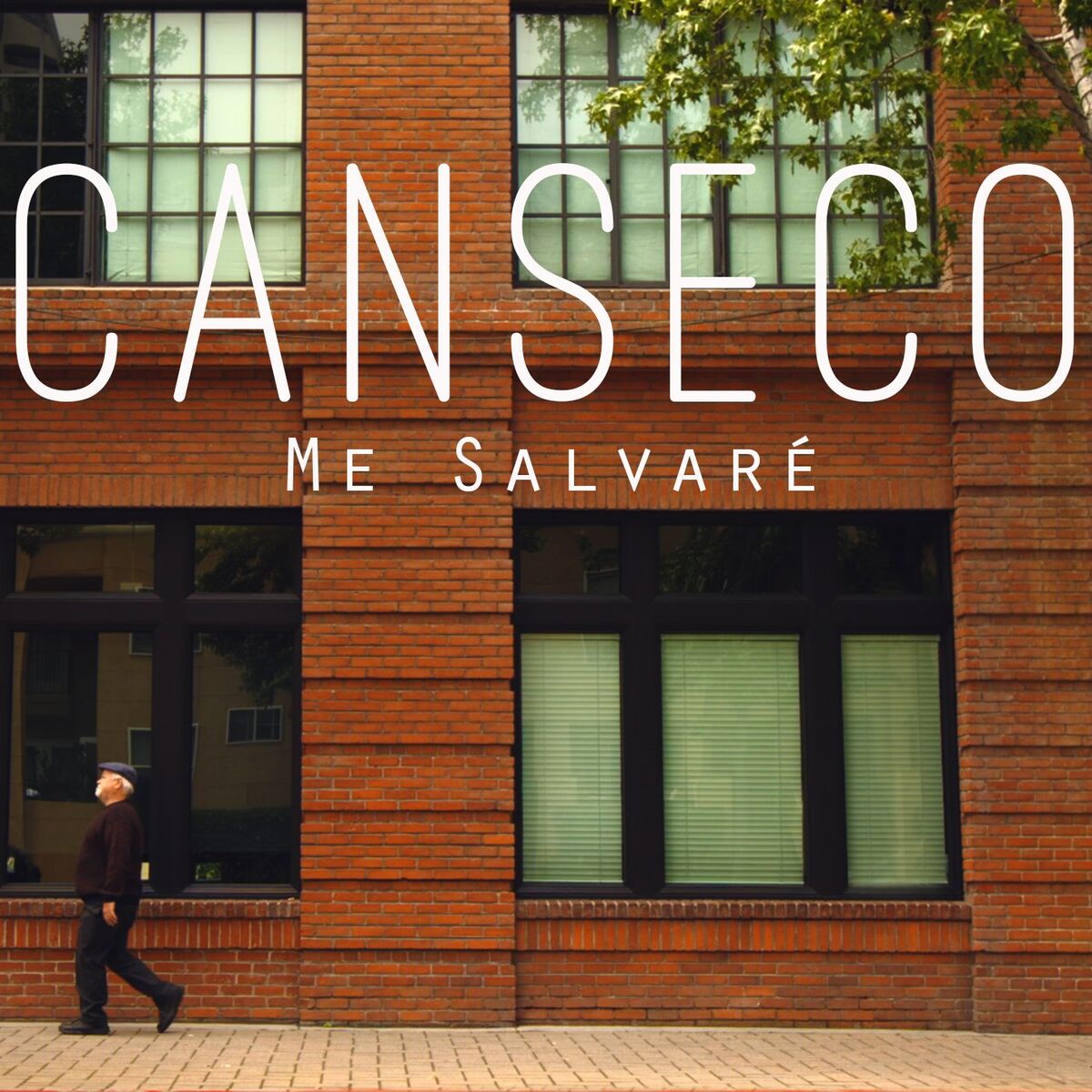Album cover of Me Salvaré