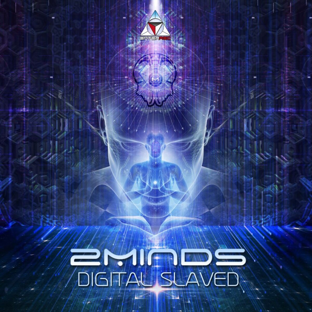 Album cover of Digital Slaved