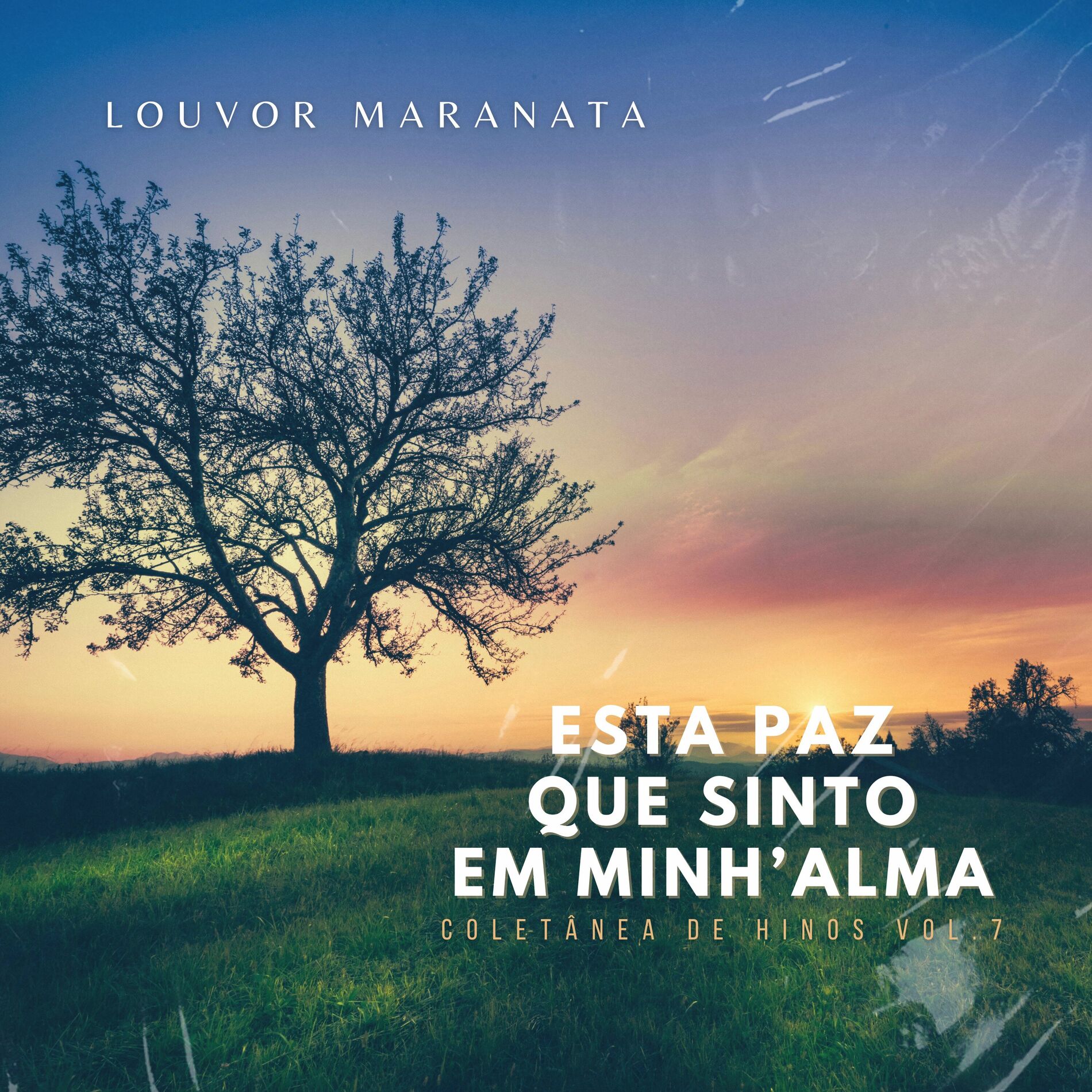 Album cover of Esta Paz Que Sinto em Minh'alma: Coletânea de Hinos, Vol. 7