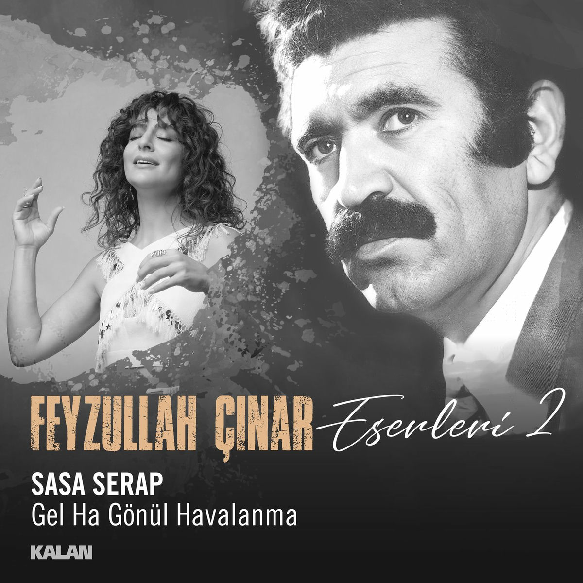 Album cover of Gel Ha Gönül Havalanma (Feyzullah Çınar Eserleri 2)