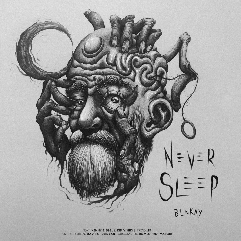 Picture of Never Sleep (feat. Kenny Siegel & Kid Vishis)