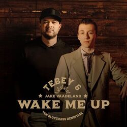 Cover of Wake Me Up (The Bluegrass Rendition)