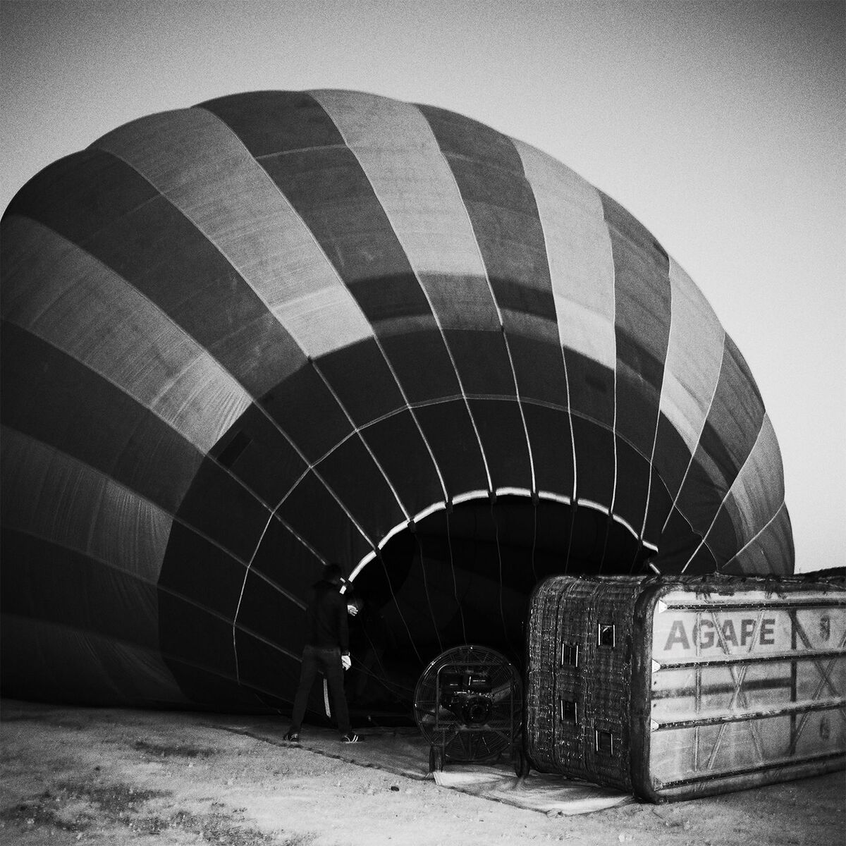 Album cover of AGAPE