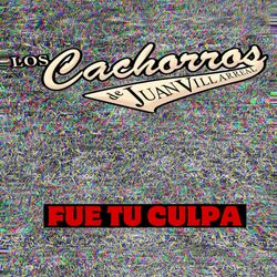 Cover of Fue Tu Culpa