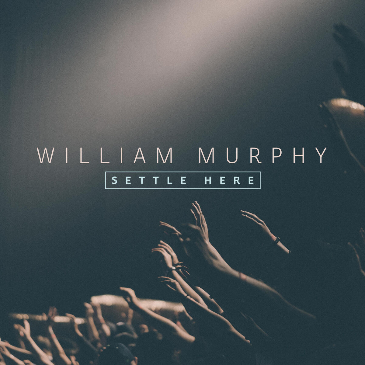 Album cover of Settle Here Part 1
