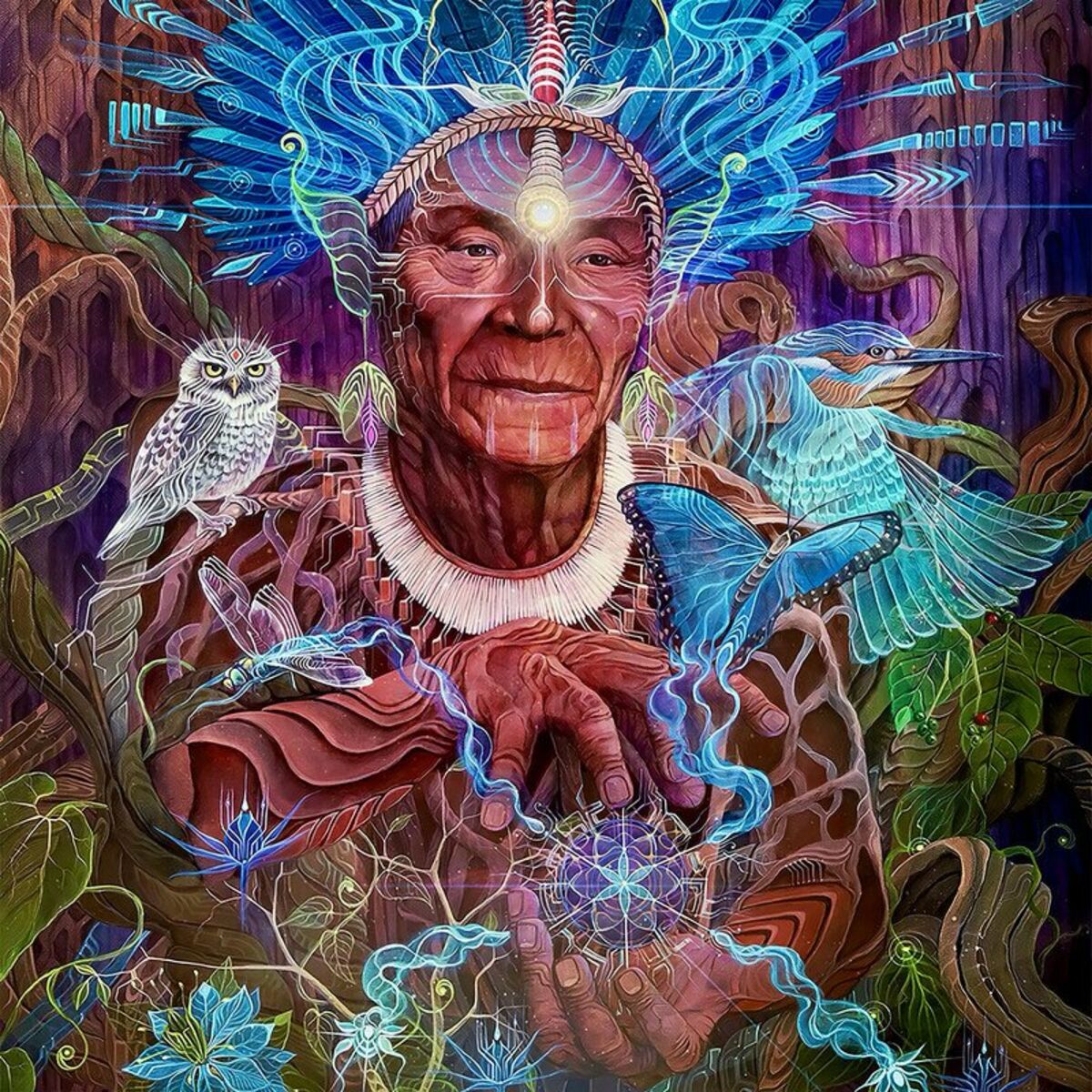 Album cover of Organic Intelligence Regenerated