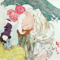 Cover of Feathers & Hallways