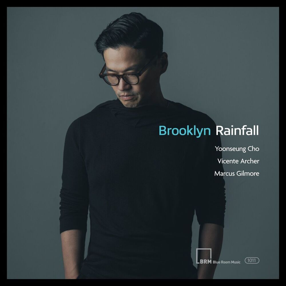 Picture of Brooklyn Rainfall