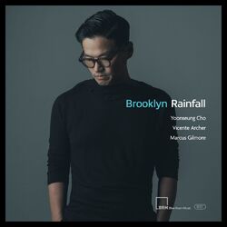Cover of Brooklyn Rainfall