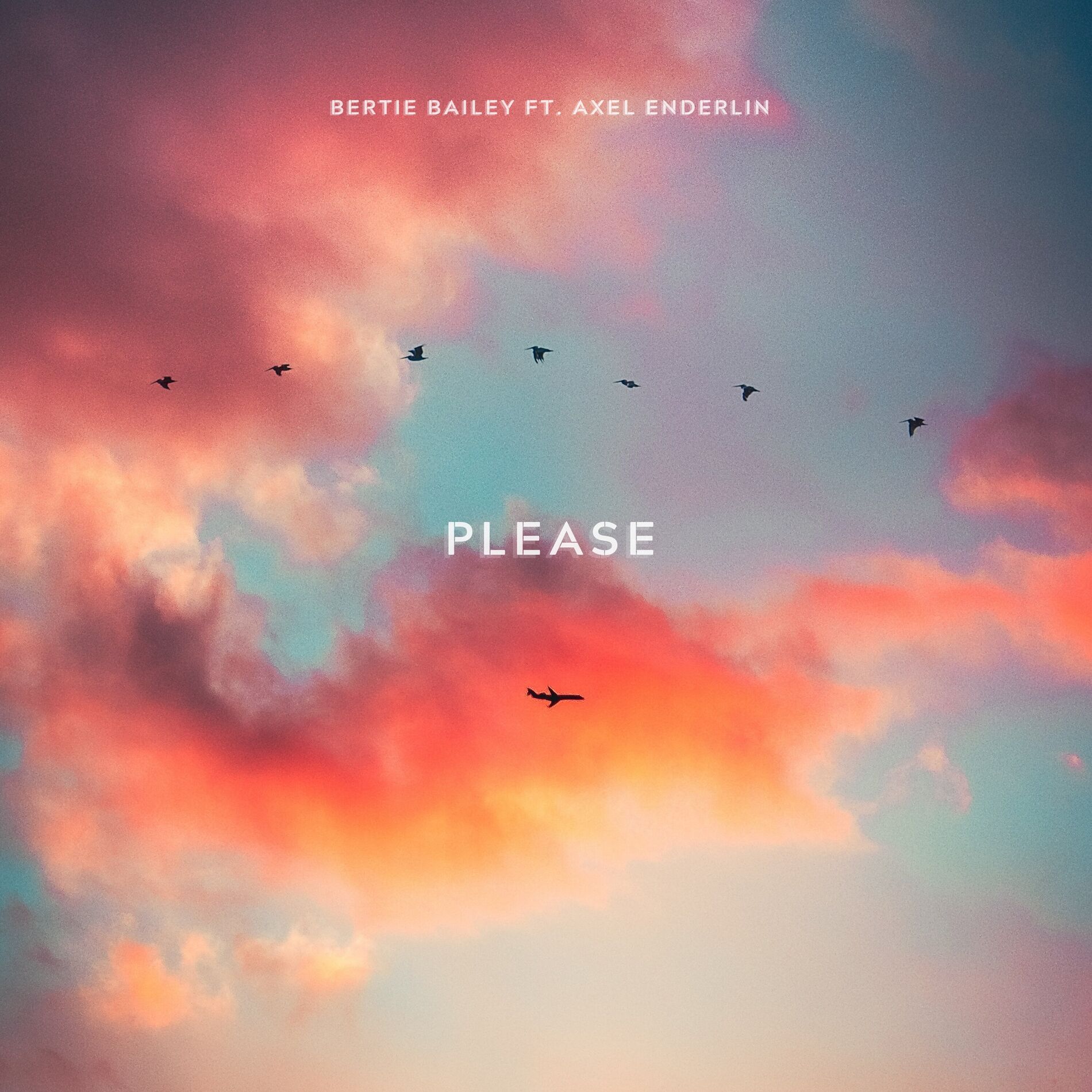 Album cover of PLEASE