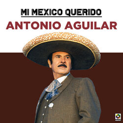 Cover of Mi Mexico Querido