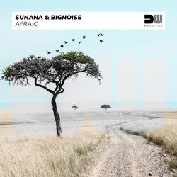 Cover of Afraic