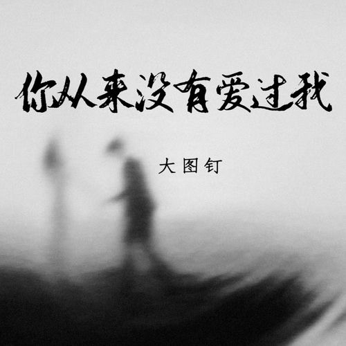 你从来没有爱过我