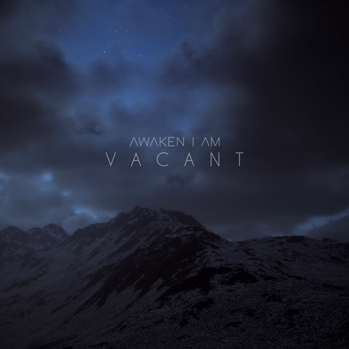Album cover of Vacant