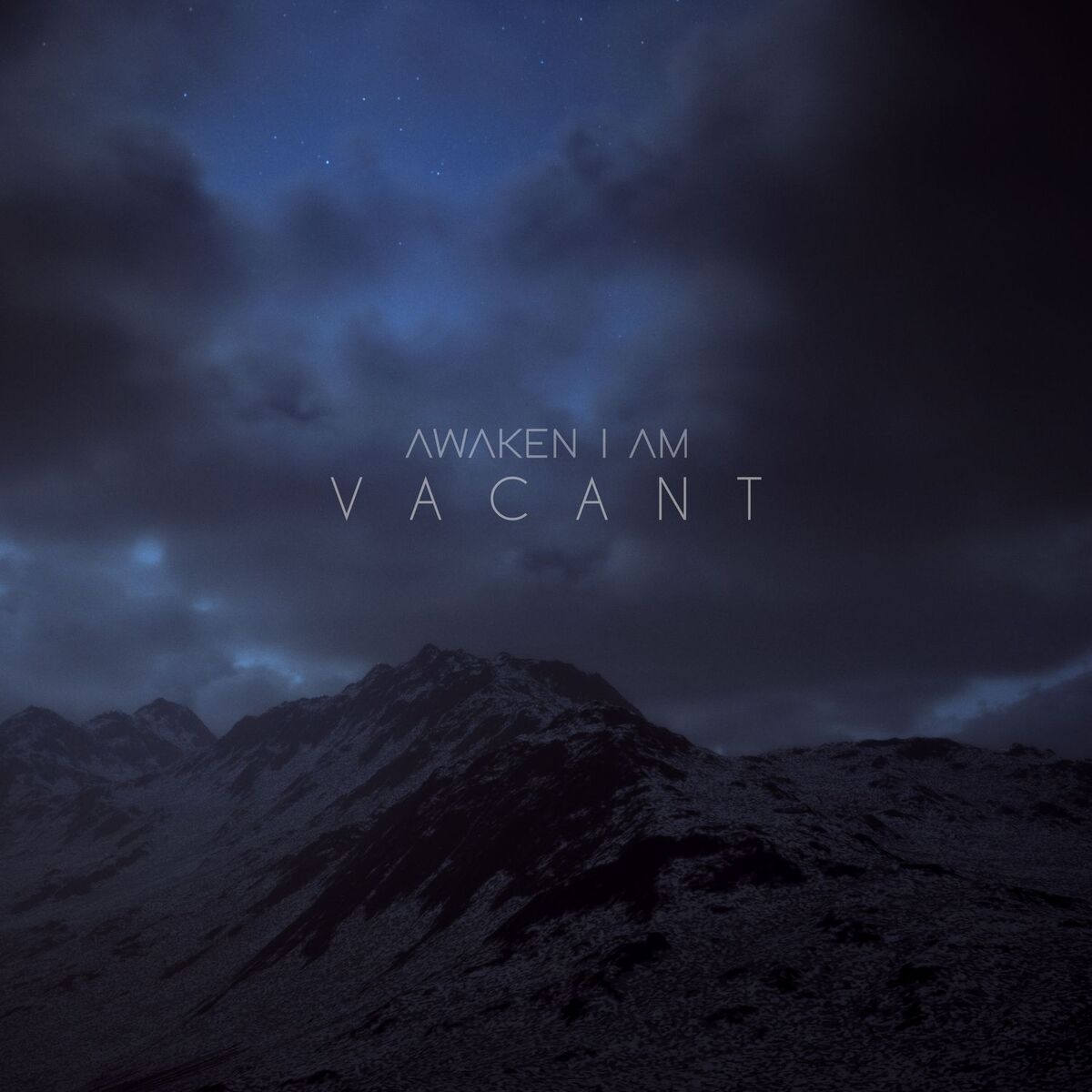 Album cover of Vacant