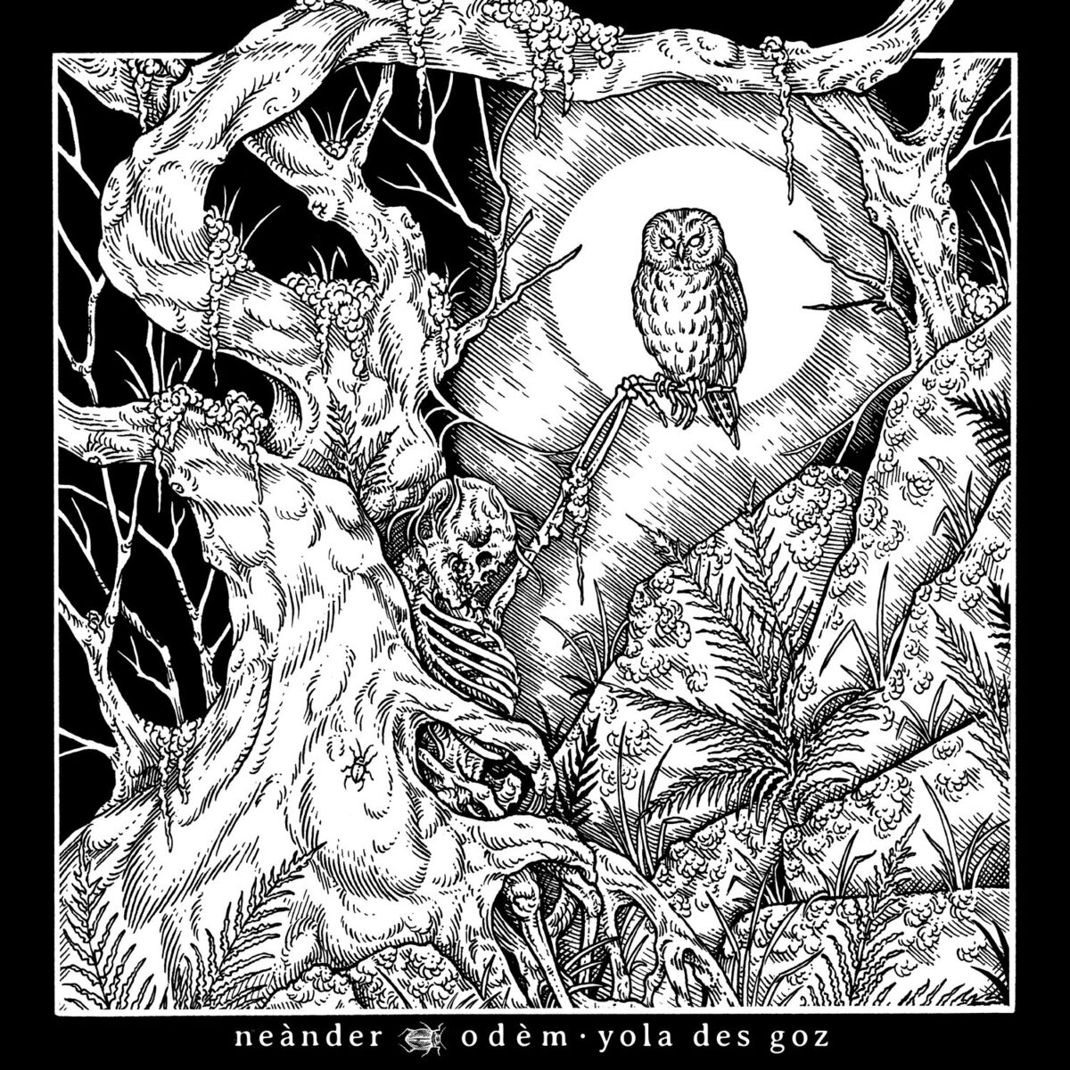 Album cover of odèm / yola des goz