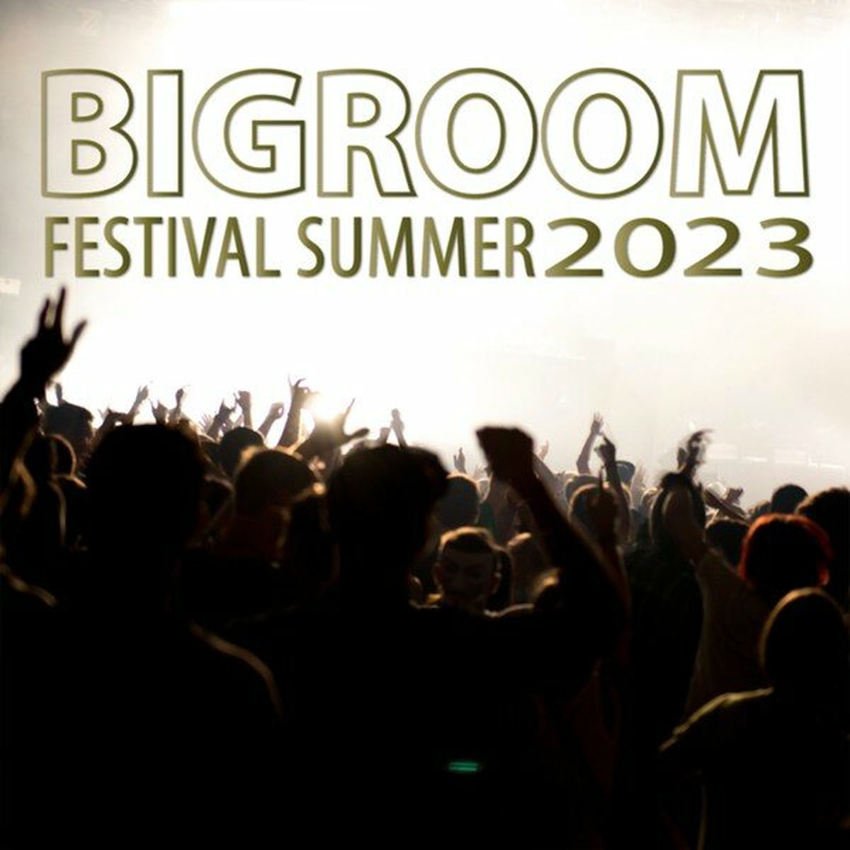 Album cover of Bigroom Festival Summer 2023