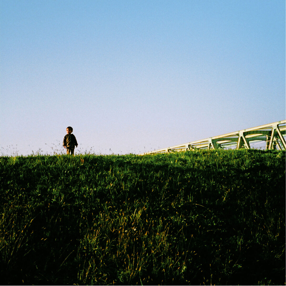 Album cover of Endless Dreamless