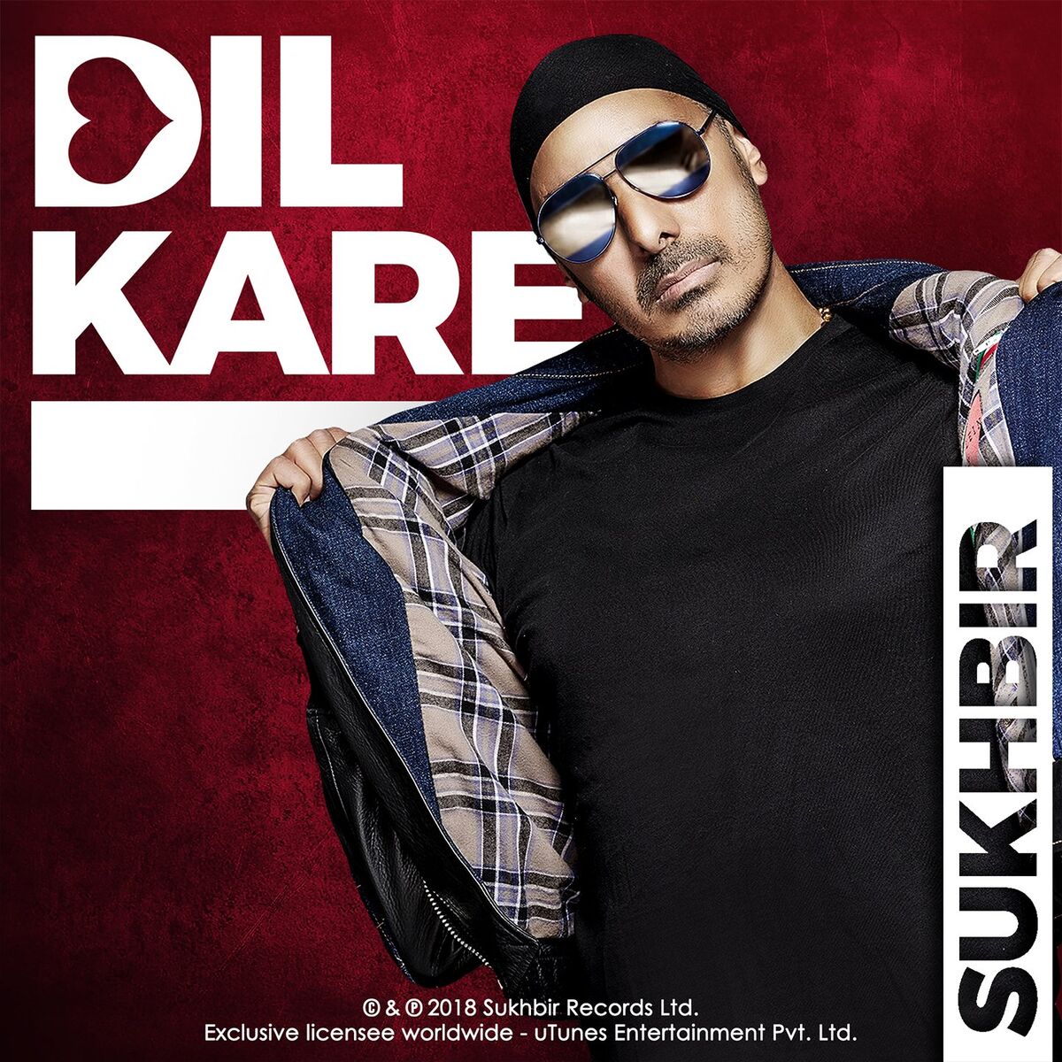 Album cover of Dil Kare