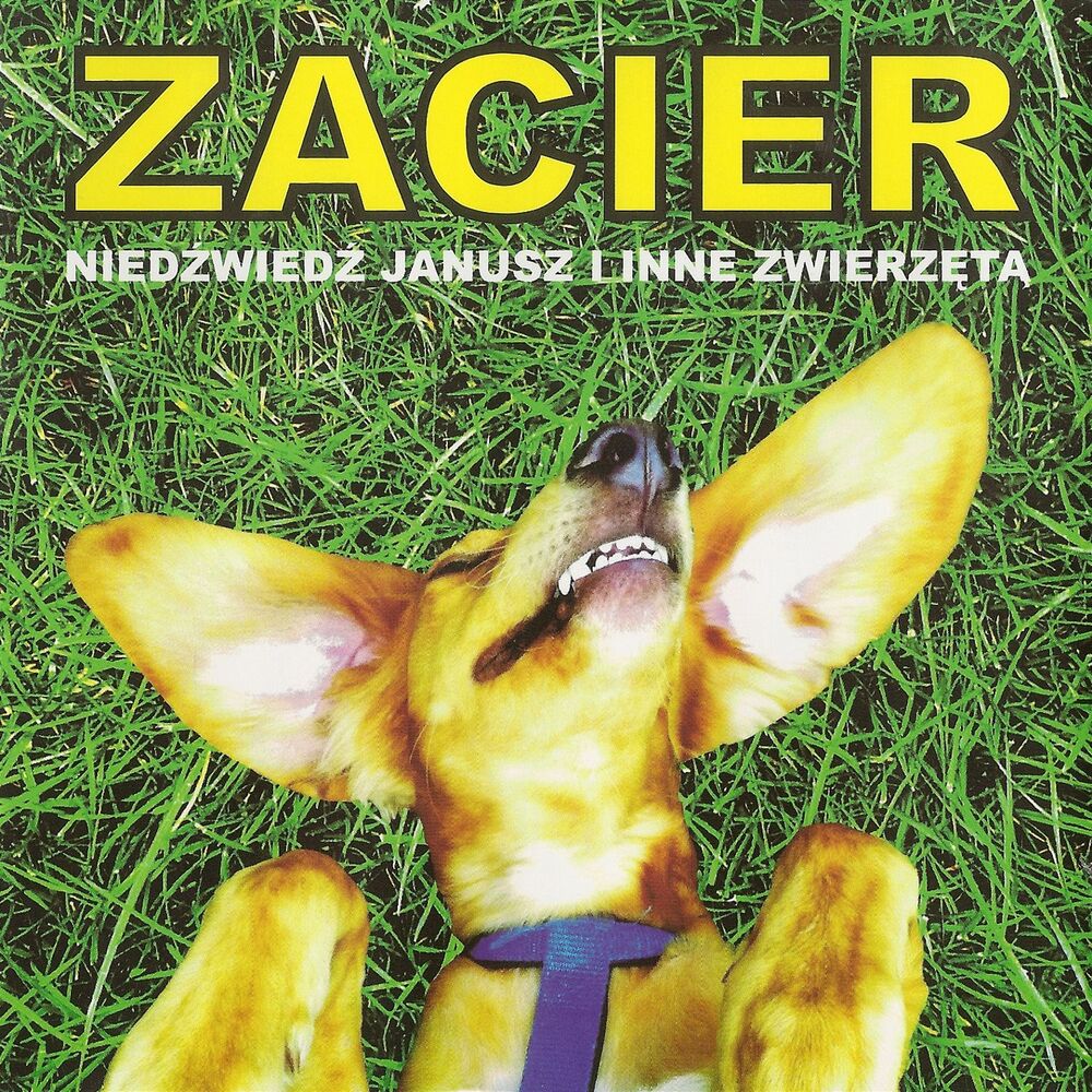 Picture of Niedźwiedź Janusz i inne zwierzęta