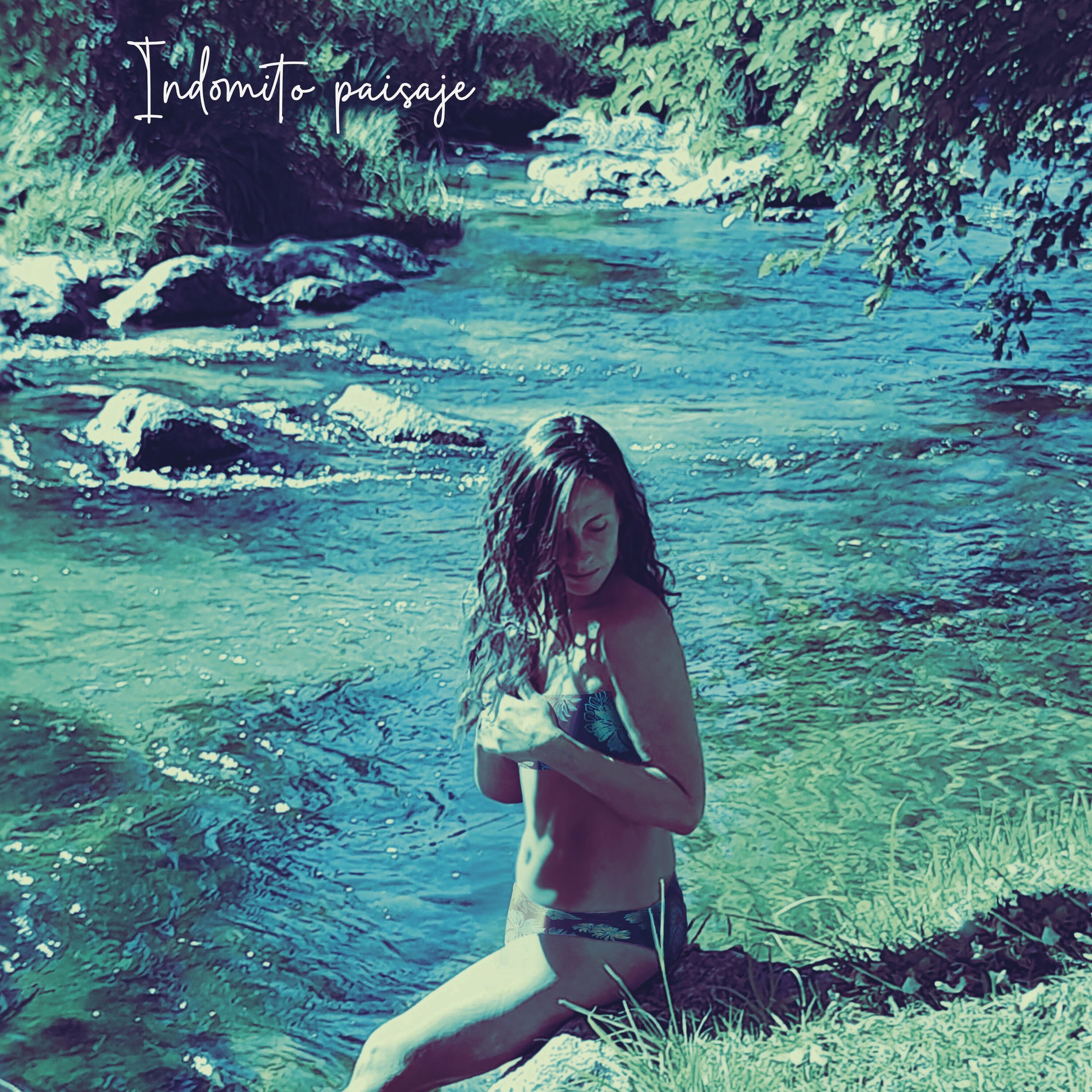 Album cover of Indómito Paisaje