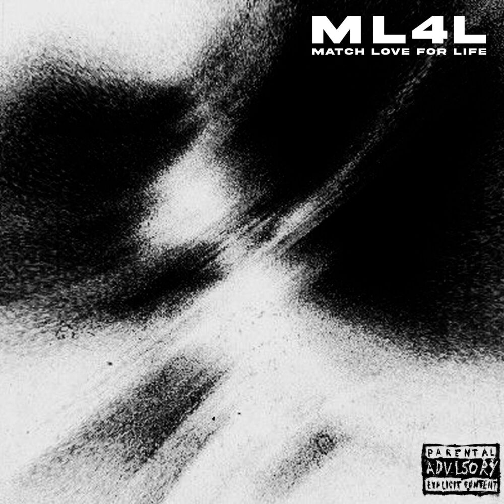 Picture of ML4L
