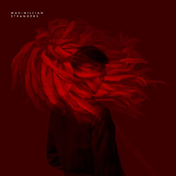Cover of Strangers
