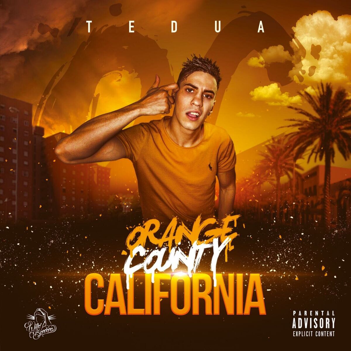 Album cover of 00 (feat. Tedua)