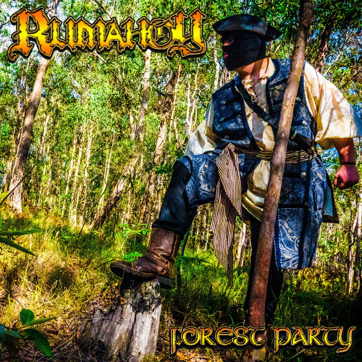 Album cover of Forest Party