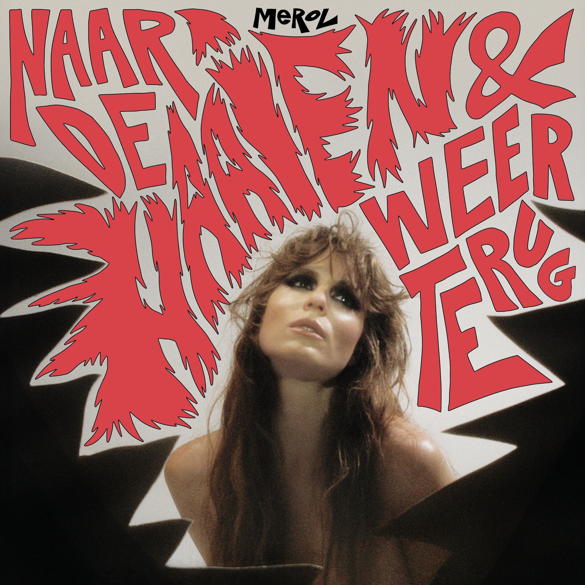 Album cover of Naar De Haaien & Weer Terug