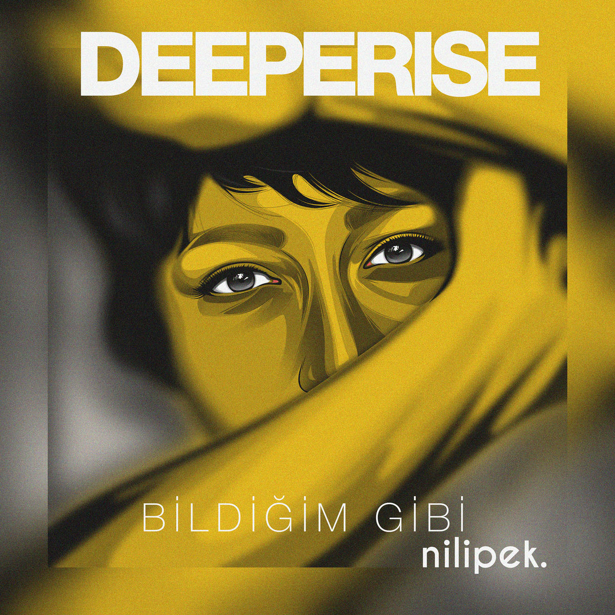Album cover of Bildiğim Gibi